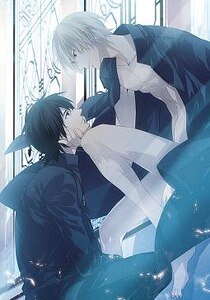 (吸血鬼騎士同人)白薔薇之王·VK