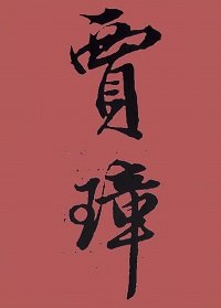 （紅樓夢同人）[紅樓]賈璋傳